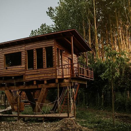 Bonita Cabana De Los Arboles En La Rioja , Durmiendo Entre Arboles Anguciana Eksteriør bilde