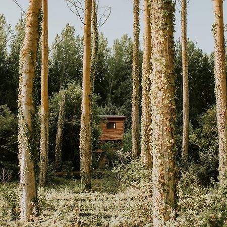 Bonita Cabana De Los Arboles En La Rioja , Durmiendo Entre Arboles Anguciana Eksteriør bilde