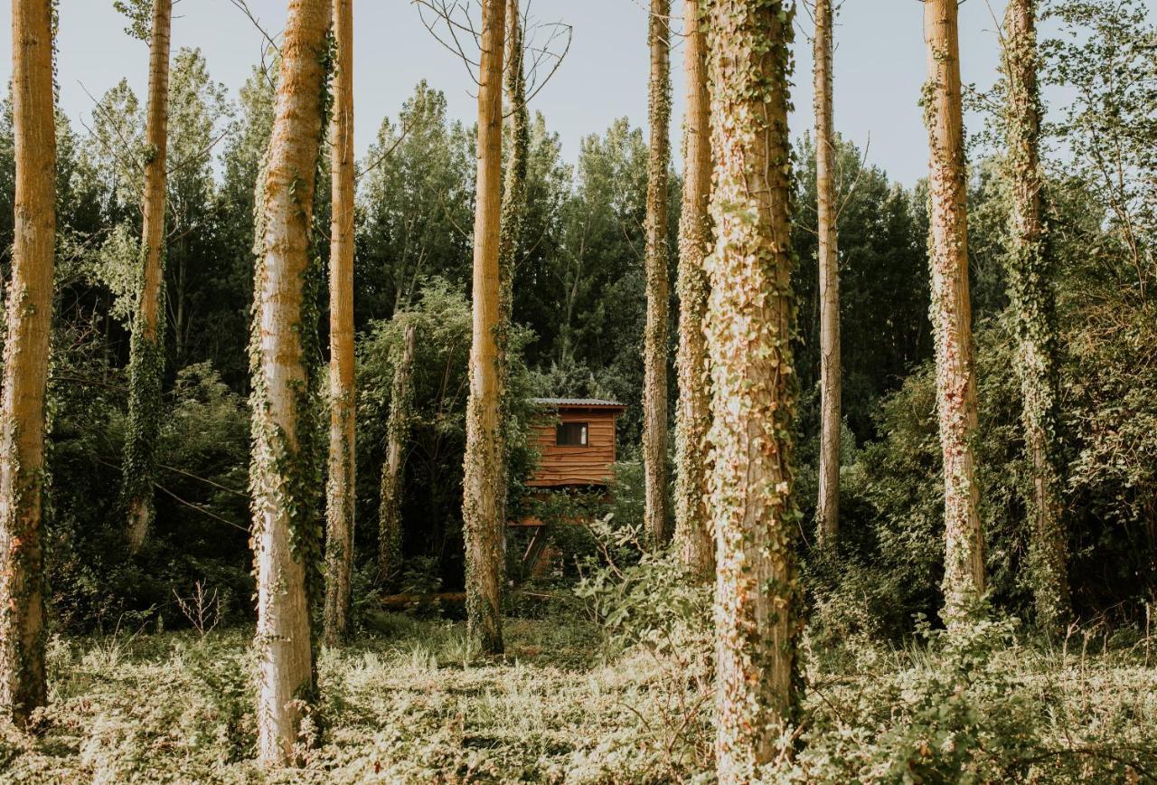 Bonita Cabana De Los Arboles En La Rioja , Durmiendo Entre Arboles Anguciana Eksteriør bilde