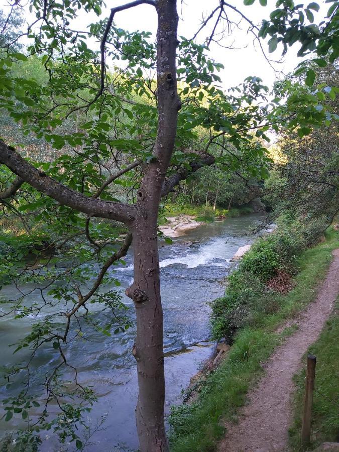Bonita Cabana De Los Arboles En La Rioja , Durmiendo Entre Arboles Anguciana Eksteriør bilde
